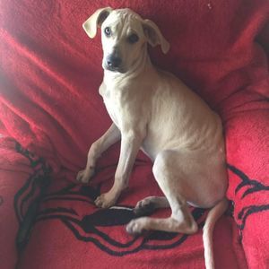 Meet your Posher, Mary